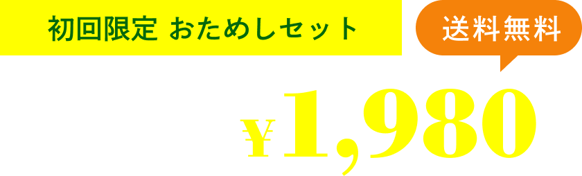 初回限定おためしセット 通常価格税込2,500円が税込1,980円。送料無料