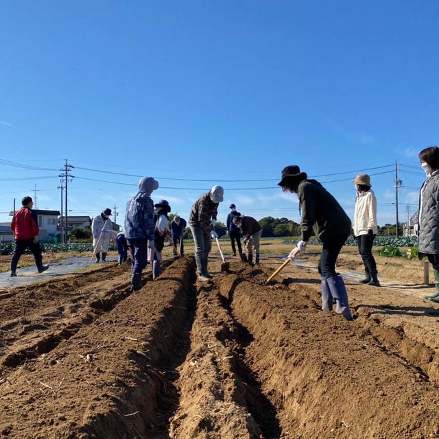 ［ベジモ有機農業スクール］2026年第16期受講生の募集を開始しました！