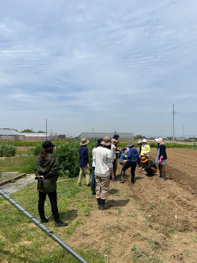 ［畑だより］ベジモ有機農業スクール（14期）が開講しました