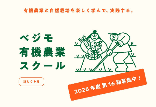 【スクールだより】現在の受講申し込み状況　3月20日時点