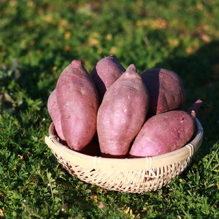 ベジモの採れたて野菜 単品