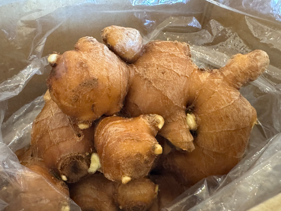 高知県産生姜 250g / 500g / 1kg / 3kg / 5kg　自然栽培