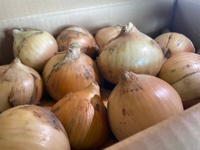 淡路島産たまねぎ 3kg / 5kg / 10kg / 20kg 　自然栽培　