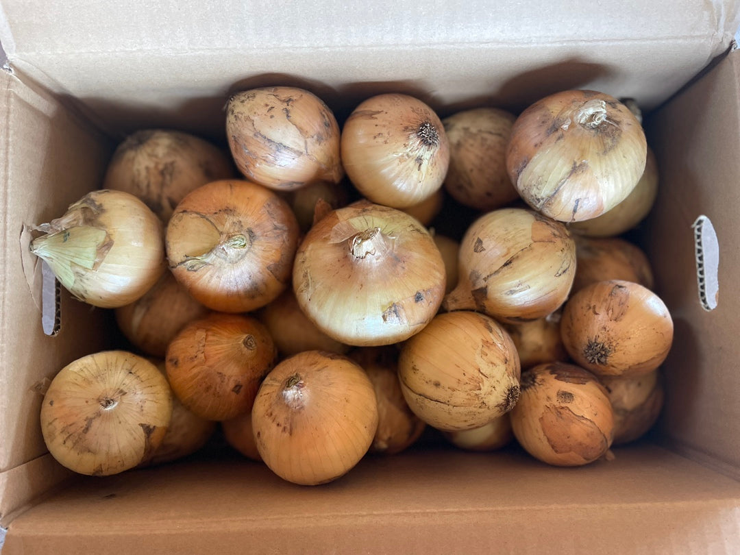 淡路島産たまねぎ 3kg / 5kg / 10kg / 20kg 　自然栽培　