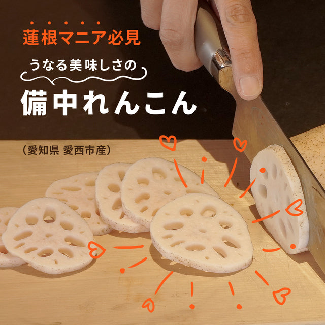 自然栽培　愛知県愛西市産 備中れんこん（古来種）1.5kg/4kg/9kg