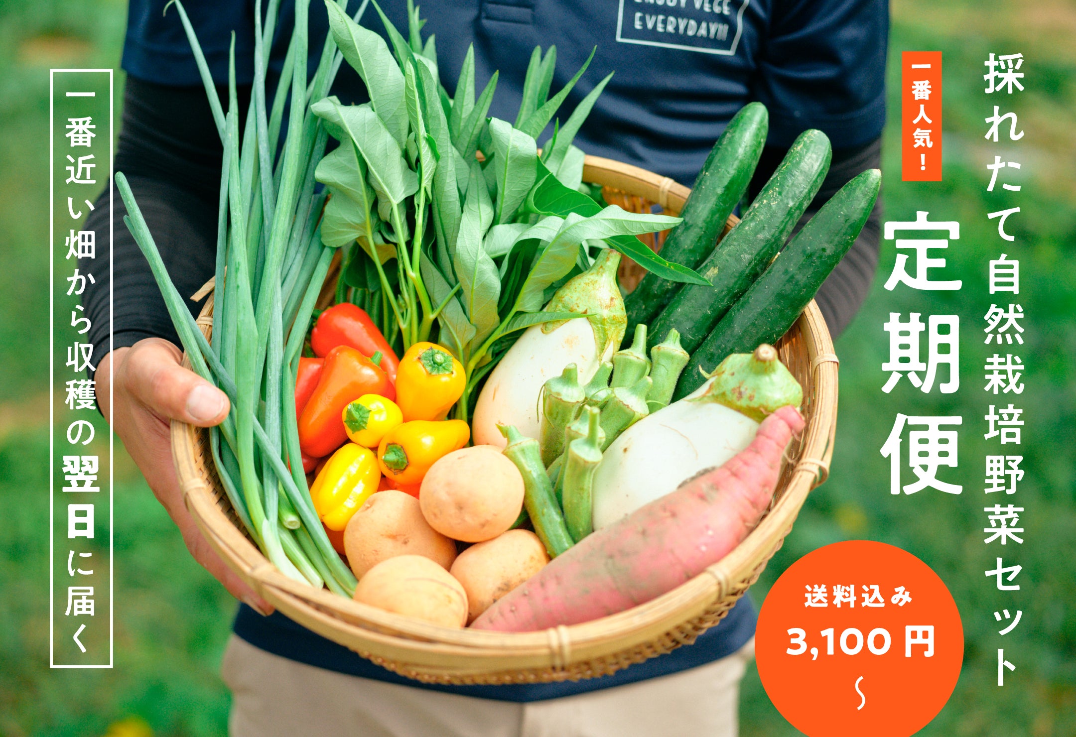 自然栽培野菜の採れたて宅配「VEGIMO（ベジモ）」