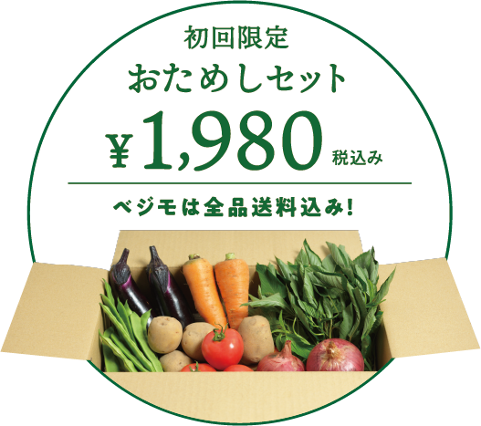 ベジモの野菜おためしセット 税込み・送料込み 1980円