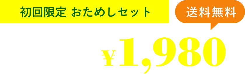 初回限定おためしセット 通常価格税込2,500円が税込1,980円。送料無料